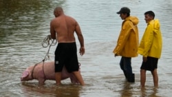 Periodistas independientes ponen de relieve la realidad tras el paso de Idalia por la isla Periodistas independientes ponen de relieve la realidad tras el paso de Idalia por la isla