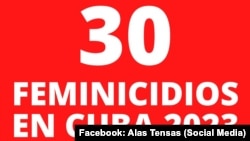 30 feminicidios registrados en Cuba en 2023. Imagen obtenida del Facebook de Alas Tensas.