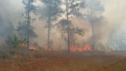 Cubanos atribuyen aumento de incendios forestales a escasez de recursos de trabajadores y otros factores Cubanos atribuyen aumento de incendios forestales a escasez de recursos de trabajadores y otros factores