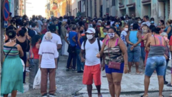 Reportaje de Tomás Cardoso Reportaje de Tomás Cardoso