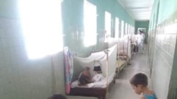 El dengue está fuera de control, alertan cubanos desde la isla El dengue está fuera de control, alertan cubanos desde la isla