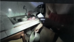 Prolongados apagones de hasta 30 horas afectan a varias provincias cubanas
 Prolongados apagones de hasta 30 horas afectan a varias provincias cubanas