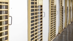 Reportaje de Tomás Cardoso Reportaje de Tomás Cardoso