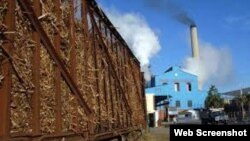 Las intensas lluvias, fallas en las reformas y descapitalización del sector están entre las causas de la crisis actual (Archivo)