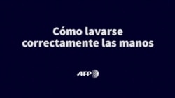 Cómo lavarse correctamente las manos Cómo lavarse correctamente las manos