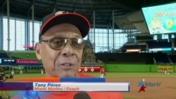 Tany Pérez apuesta por un regreso exitoso de José Fernández Tany Pérez apuesta por un regreso exitoso de José Fernández