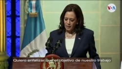 Declaraciones de la vicepresidenta Harris sobre la inmigración Declaraciones de la vicepresidenta Harris sobre la inmigración