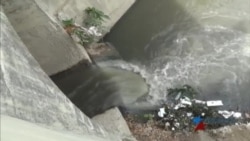 Reportan venta de pescado contaminado Reportan venta de pescado contaminado