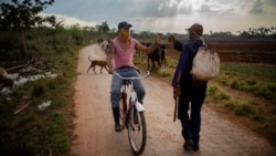 Ni bicicletas dejan entrar a Nueva Gerona Ni bicicletas dejan entrar a Nueva Gerona