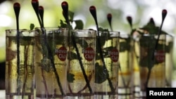 El "Mojito", trago tradicional cubano, mezcla de ron, menta y azúcar.