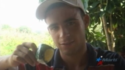 Dos jóvenes cubanos entre las víctimas de la masacre de Orlando Dos jóvenes cubanos entre las víctimas de la masacre de Orlando