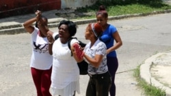 Liberan a Berta Soler tras más de 22 horas detenida