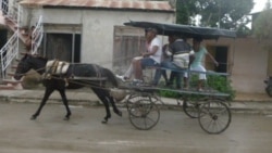 Transportistas privados podrían perder sus licencias si no cumplen con precios topados Transportistas privados podrían perder sus licencias si no cumplen con precios topados