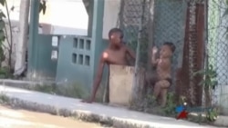 Exigen ayuda al Gobierno cubano por alto plomo en sangre Exigen ayuda al Gobierno cubano por alto plomo en sangre