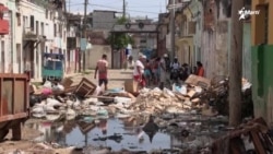 Info Martí | Exilio cubano en Florida advierte por propagación de virus de Oropouche en Cuba Info Martí | Exilio cubano en Florida advierte por propagación de virus de Oropouche en Cuba