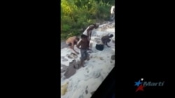 Aumentan saqueos por comida en Venezuela Aumentan saqueos por comida en Venezuela