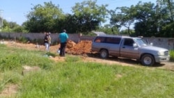 Pinar del Río azotado por hambre, oscuridad y Covid-19 Pinar del Río azotado por hambre, oscuridad y Covid-19