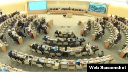 Sesión plenaria del Consejo de Derechos Humanos de Naciones Unidas.