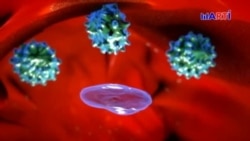 Universo e importancia de las vacunas Universo e importancia de las vacunas