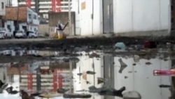 Médicos cubanos carecerían de protocolo para tratar enfermos de zika Médicos cubanos carecerían de protocolo para tratar enfermos de zika