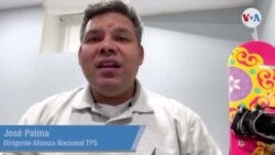 Declaraciones de José Palma Declaraciones de José Palma