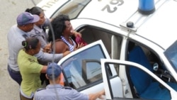 Declaraciones de Berta Soler Declaraciones de Berta Soler